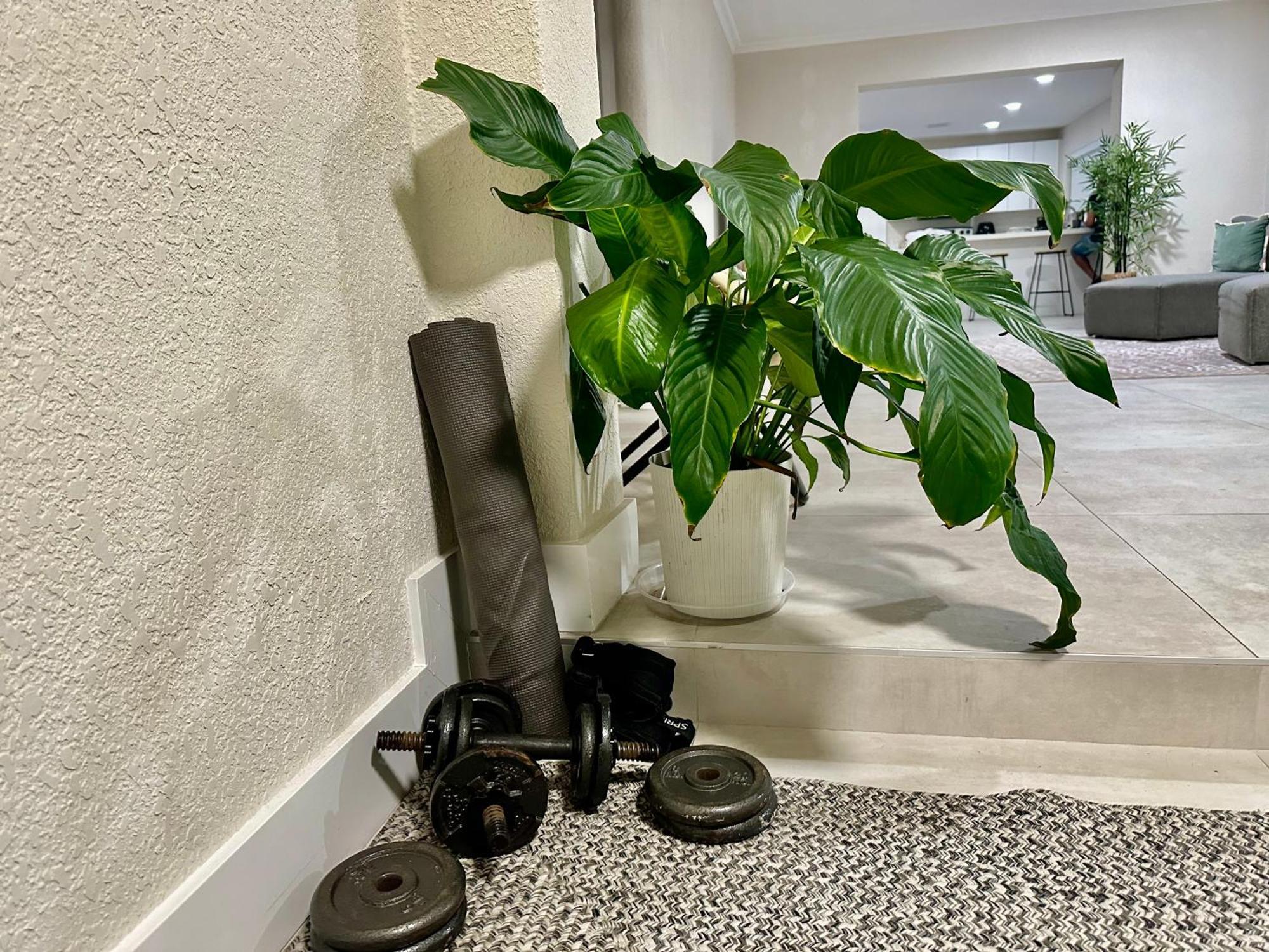 World Connect Miami Hostel ภายนอก รูปภาพ